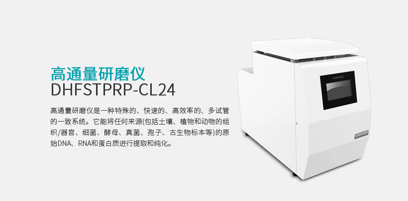 高通量研磨仪  DHFSTPRP-CL48