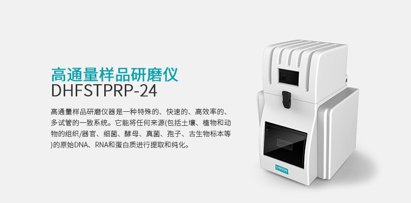 高通量组织研磨仪  DHFSTPRP-CL24